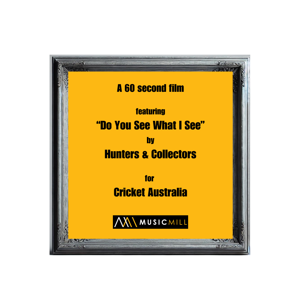 Cricket Australia Artist: Hunters & Collectors Track: Do You See What I